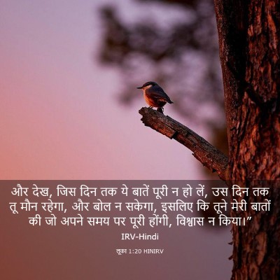 Picture 03 - लूका 1:20 HINIRV - और देख, जिस दिन तक - Bible Verse Picture