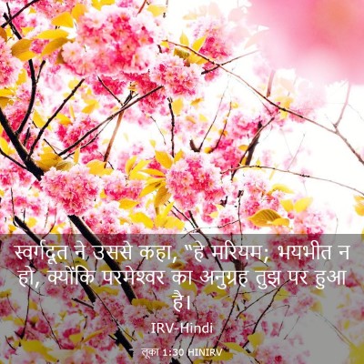 Picture 03 - लूका 1:30 HINIRV - स्वर्गदूत ने उससे - Bible Verse Picture