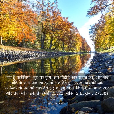 Picture 03 - लूका 11:42 HINIRV - “पर हे फरीसियों, - Bible Verse Picture