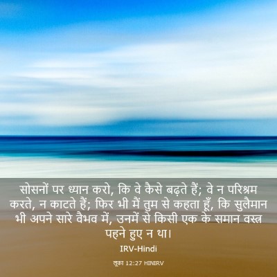 Picture 03 - लूका 12:27 HINIRV - सोसनों पर ध्यान - Bible Verse Picture