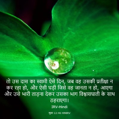 Picture 03 - लूका 12:46 HINIRV - तो उस दास का स्वामी - Bible Verse Picture