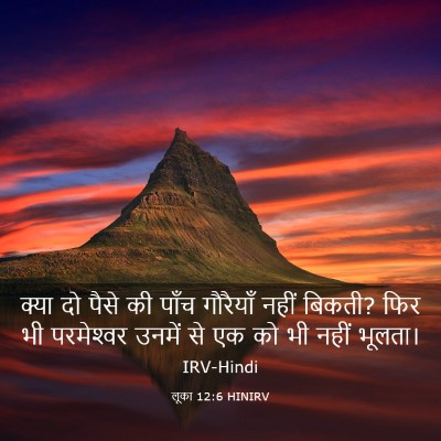 Picture 03 - लूका 12:6 HINIRV - क्या दो पैसे की - Bible Verse Picture