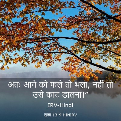 Picture 03 - लूका 13:9 HINIRV - अतः आगे को फले तो - Bible Verse Picture