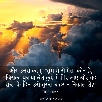 Picture 03 - लूका 14:5 HINIRV - और उनसे कहा, “तुम - Bible Verse Picture