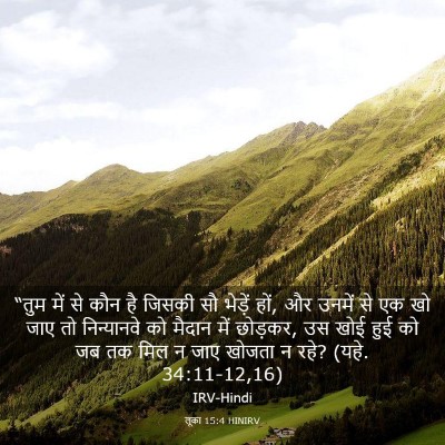 Picture 03 - लूका 15:4 HINIRV - “तुम में से कौन है - Bible Verse Picture