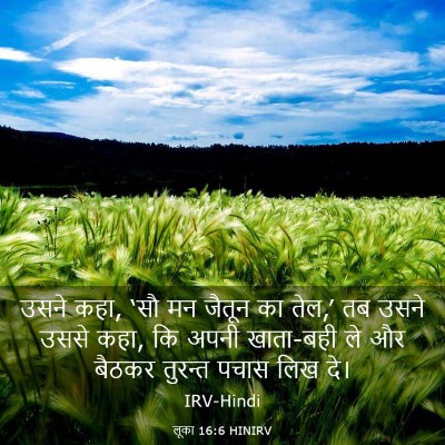 Picture 03 - लूका 16:6 HINIRV - उसने कहा, ‘सौ मन - Bible Verse Picture