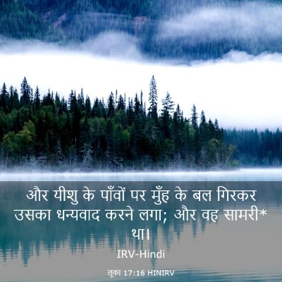 Picture 03 - लूका 17:16 HINIRV - और यीशु के पाँवों - Bible Verse Picture