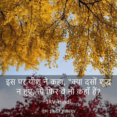 Picture 03 - लूका 17:17 HINIRV - इस पर यीशु ने कहा, - Bible Verse Picture