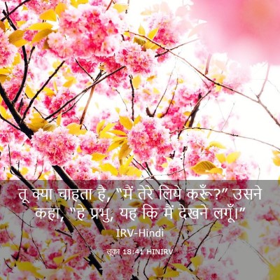 Picture 03 - लूका 18:41 HINIRV - तू क्या चाहता है, - Bible Verse Picture