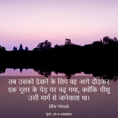 Picture 03 - लूका 19:4 HINIRV - तब उसको देखने के - Bible Verse Picture