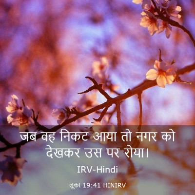 Picture 03 - लूका 19:41 HINIRV - जब वह निकट आया तो - Bible Verse Picture