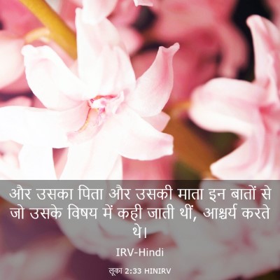 Picture 03 - लूका 2:33 HINIRV - और उसका पिता और - Bible Verse Picture