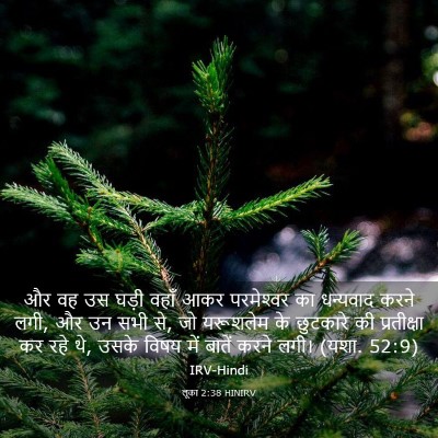 Picture 03 - लूका 2:38 HINIRV - और वह उस घड़ी वहाँ - Bible Verse Picture