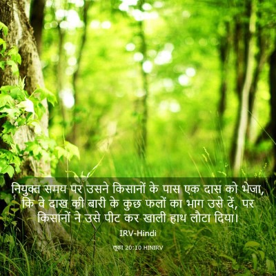 Picture 03 - लूका 20:10 HINIRV - नियुक्त समय पर - Bible Verse Picture