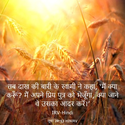Picture 03 - लूका 20:13 HINIRV - तब दाख की बारी के - Bible Verse Picture