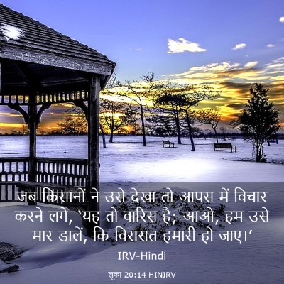 Picture 03 - लूका 20:14 HINIRV - जब किसानों ने उसे - Bible Verse Picture