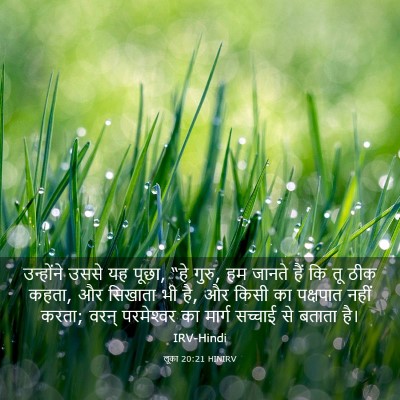 Picture 03 - लूका 20:21 HINIRV - उन्होंने उससे यह - Bible Verse Picture