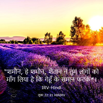 Picture 03 - लूका 22:31 HINIRV - “शमौन, हे शमौन, - Bible Verse Picture