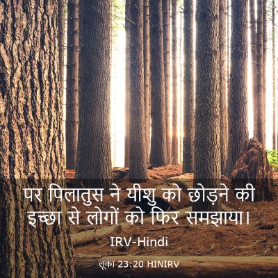 Picture 03 - लूका 23:20 HINIRV - पर पिलातुस ने यीशु - Bible Verse Picture
