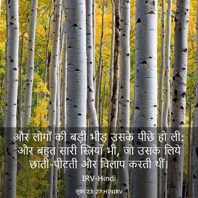 Picture 03 - लूका 23:27 HINIRV - और लोगों की बड़ी - Bible Verse Picture