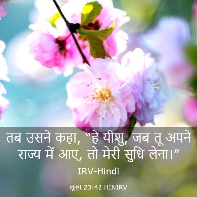 Picture 03 - लूका 23:42 HINIRV - तब उसने कहा, “हे - Bible Verse Picture