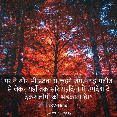 Picture 03 - लूका 23:5 HINIRV - पर वे और भी दृढ़ता - Bible Verse Picture