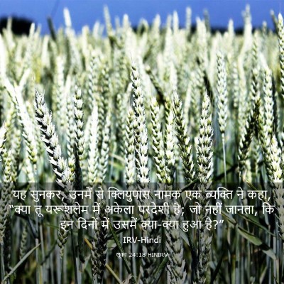 Picture 03 - लूका 24:18 HINIRV - यह सुनकर, उनमें से - Bible Verse Picture