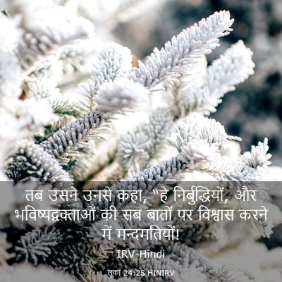 Picture 03 - लूका 24:25 HINIRV - तब उसने उनसे कहा, - Bible Verse Picture