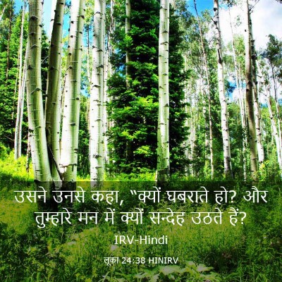 Picture 03 - लूका 24:38 HINIRV - उसने उनसे कहा, - Bible Verse Picture
