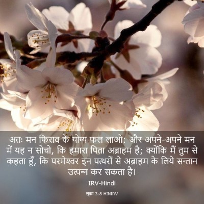 Picture 03 - लूका 3:8 HINIRV - अतः मन फिराव के - Bible Verse Picture