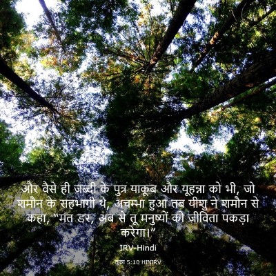 Picture 03 - लूका 5:10 HINIRV - और वैसे ही जब्दी के - Bible Verse Picture