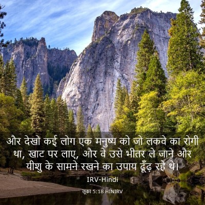 Picture 03 - लूका 5:18 HINIRV - और देखो कई लोग एक - Bible Verse Picture