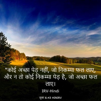 Picture 03 - लूका 6:43 HINIRV - “कोई अच्छा पेड़ - Bible Verse Picture