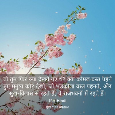 Picture 03 - लूका 7:25 HINIRV - तो तुम फिर क्या - Bible Verse Picture