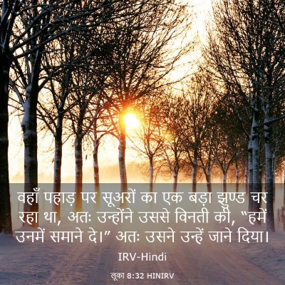 Picture 03 - लूका 8:32 HINIRV - वहाँ पहाड़ पर - Bible Verse Picture