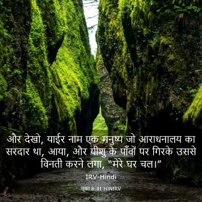Picture 03 - लूका 8:41 HINIRV - और देखो, याईर नाम - Bible Verse Picture