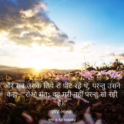 Picture 03 - लूका 8:52 HINIRV - और सब उसके लिये रो - Bible Verse Picture