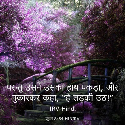 Picture 03 - लूका 8:54 HINIRV - परन्तु उसने उसका - Bible Verse Picture