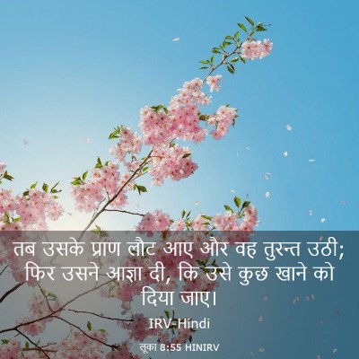 Picture 03 - लूका 8:55 HINIRV - तब उसके प्राण लौट - Bible Verse Picture