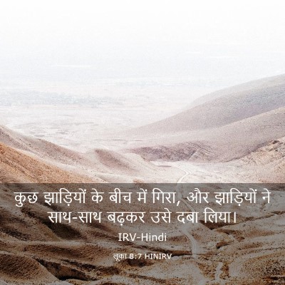 Picture 03 - लूका 8:7 HINIRV - कुछ झाड़ियों के - Bible Verse Picture