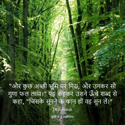 Picture 03 - लूका 8:8 HINIRV - “और कुछ अच्छी भूमि - Bible Verse Picture