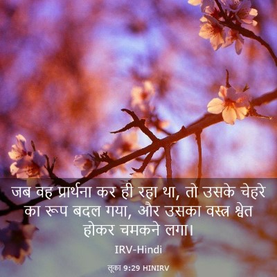 Picture 03 - लूका 9:29 HINIRV - जब वह प्रार्थना कर - Bible Verse Picture