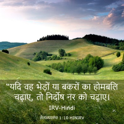Picture 03 - लैव्यव्यवस्था 1:10 HINIRV - “यदि वह भेड़ों या - Bible Verse Picture