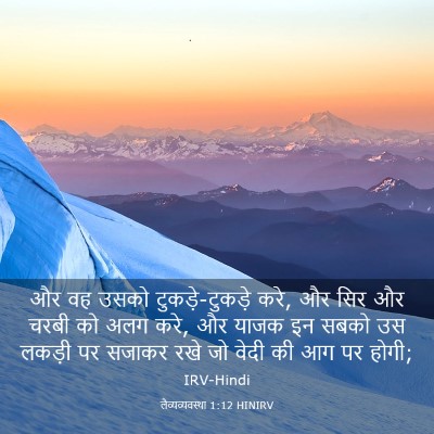 Picture 03 - लैव्यव्यवस्था 1:12 HINIRV - और वह उसको - Bible Verse Picture