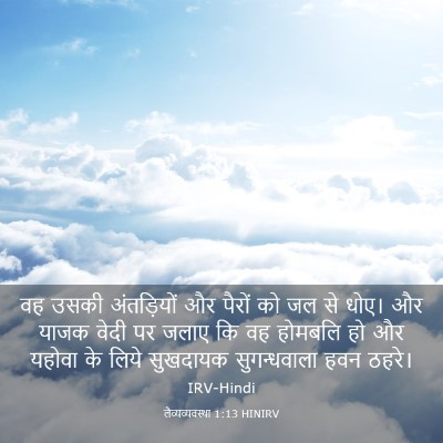Picture 03 - लैव्यव्यवस्था 1:13 HINIRV - वह उसकी अंतड़ियों - Bible Verse Picture