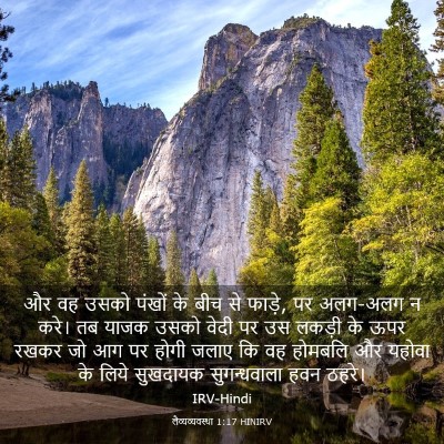 Picture 03 - लैव्यव्यवस्था 1:17 HINIRV - और वह उसको पंखों के - Bible Verse Picture