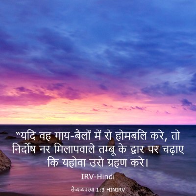 Picture 03 - लैव्यव्यवस्था 1:3 HINIRV - “यदि वह गाय-बैलों - Bible Verse Picture