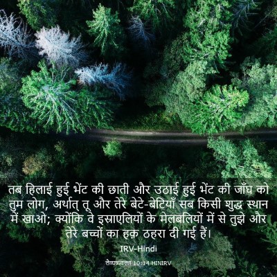 Picture 03 - लैव्यव्यवस्था 10:14 HINIRV - तब हिलाई हुई भेंट - Bible Verse Picture