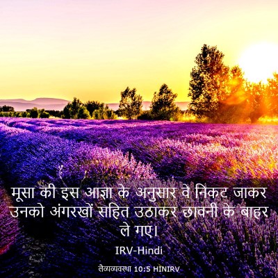 Picture 03 - लैव्यव्यवस्था 10:5 HINIRV - मूसा की इस आज्ञा के - Bible Verse Picture