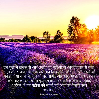 Picture 03 - लैव्यव्यवस्था 10:6 HINIRV - तब मूसा ने हारून से - Bible Verse Picture